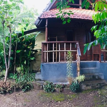 Echo Alam Nusa Lodge Ped Ngoại thất bức ảnh