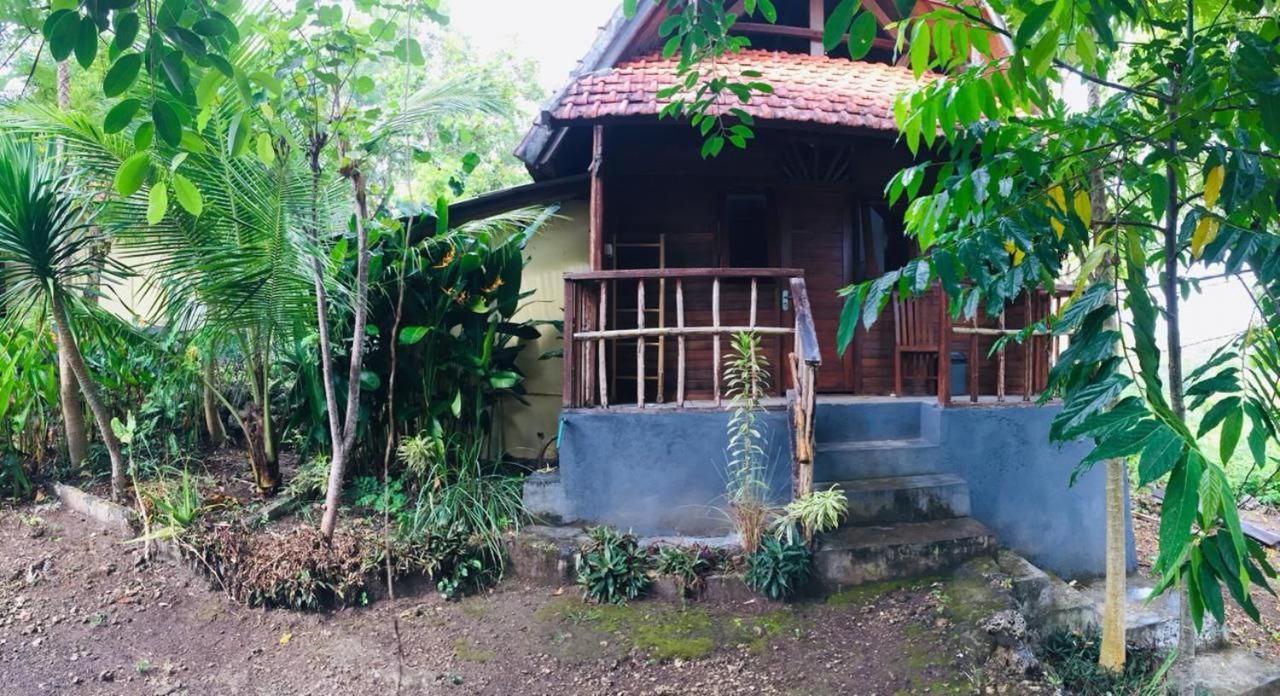 Echo Alam Nusa Lodge Ped Ngoại thất bức ảnh