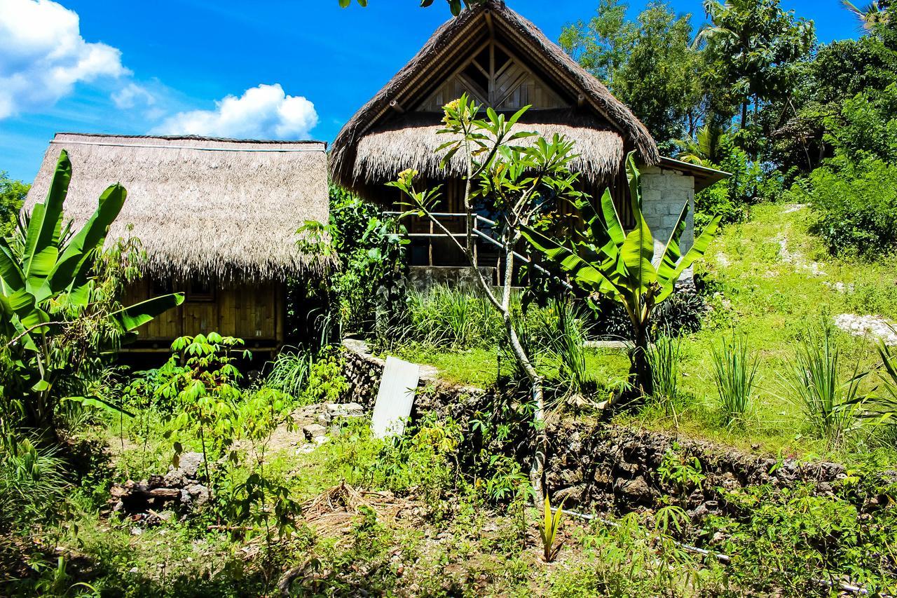 Echo Alam Nusa Lodge Ped Ngoại thất bức ảnh