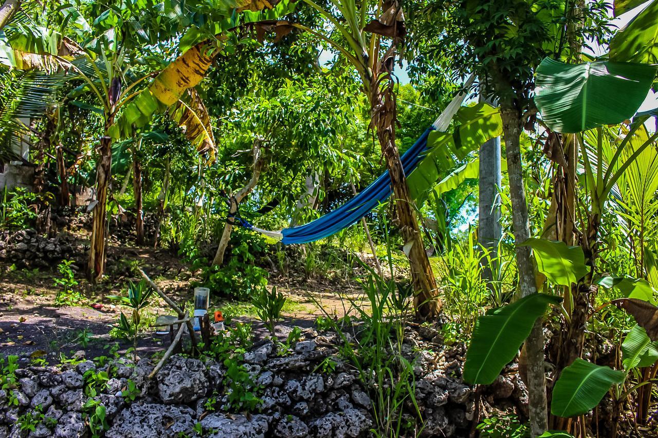 Echo Alam Nusa Lodge Ped Ngoại thất bức ảnh