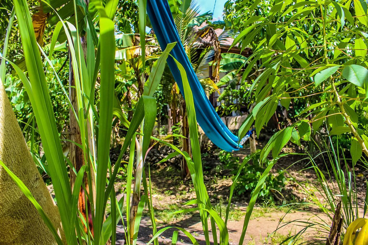 Echo Alam Nusa Lodge Ped Ngoại thất bức ảnh