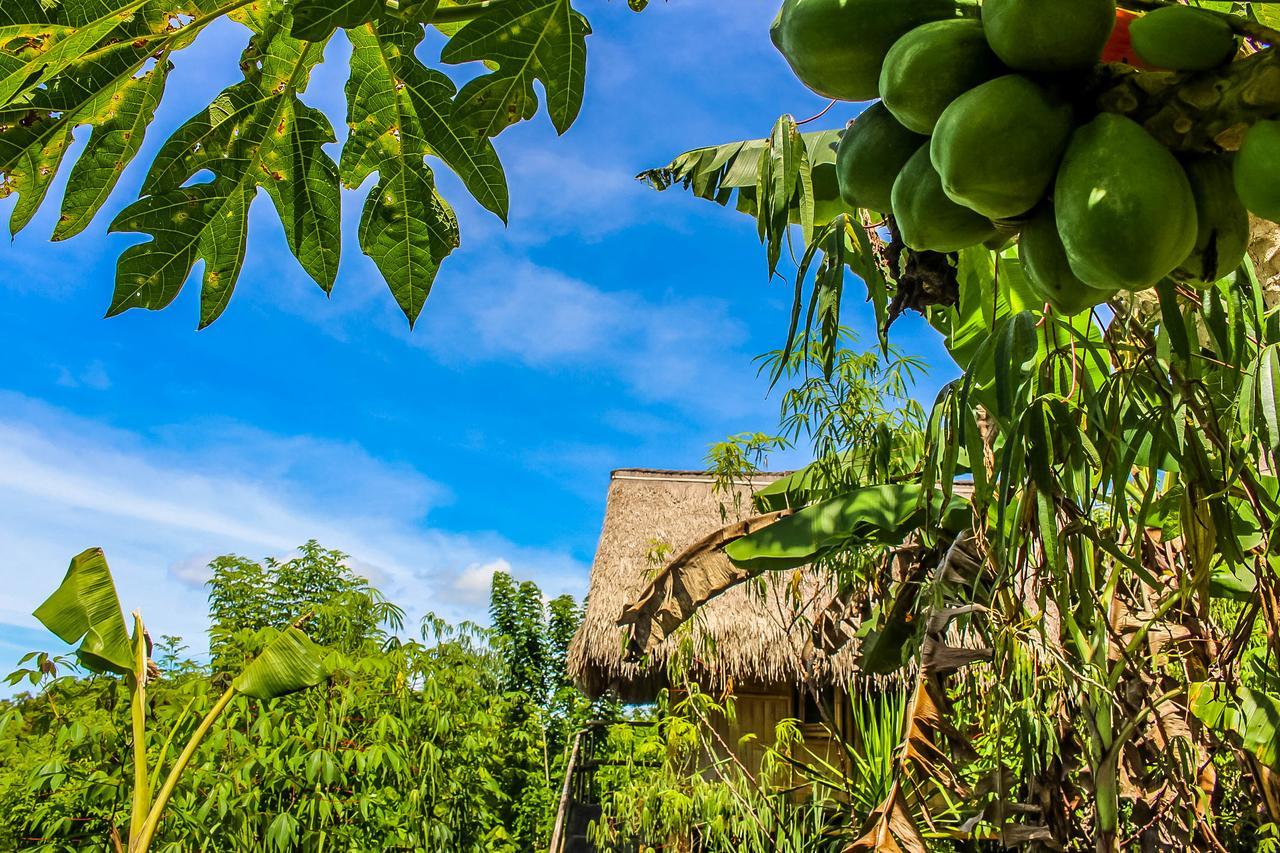 Echo Alam Nusa Lodge Ped Ngoại thất bức ảnh